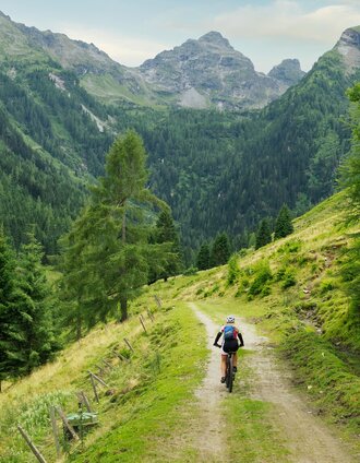 dsc05981-1.jpg | Markus Schrempf 