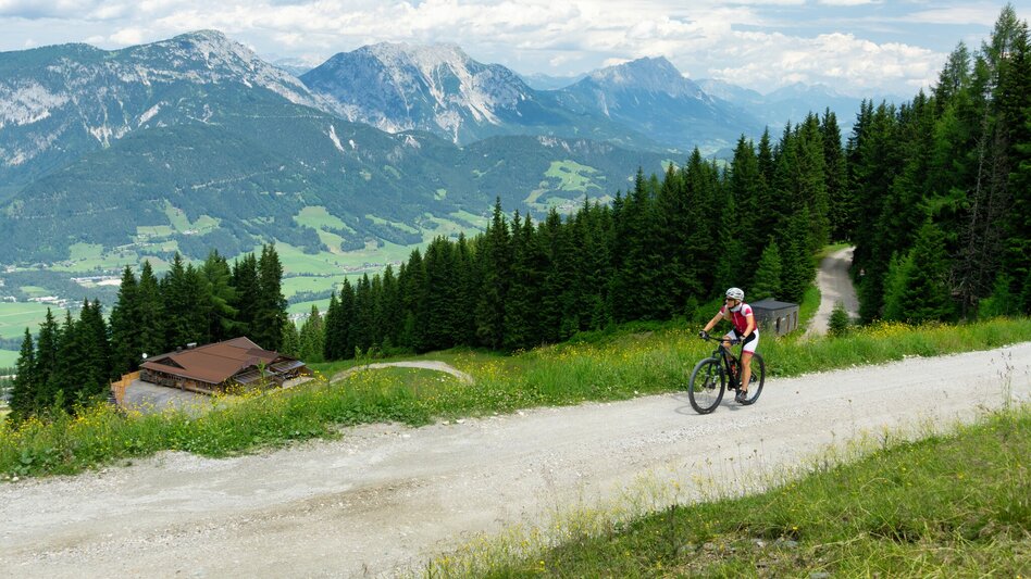 Mountain Biking Kaibling Tour | 309 - Touren-Impression #2.4