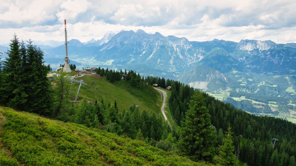 Mountain Biking Kaibling Tour | 309 - Touren-Impression #2.8