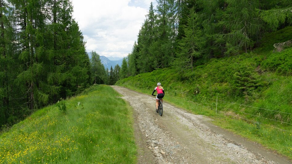 Mountain Biking Kaibling Tour | 309 - Touren-Impression #2.9