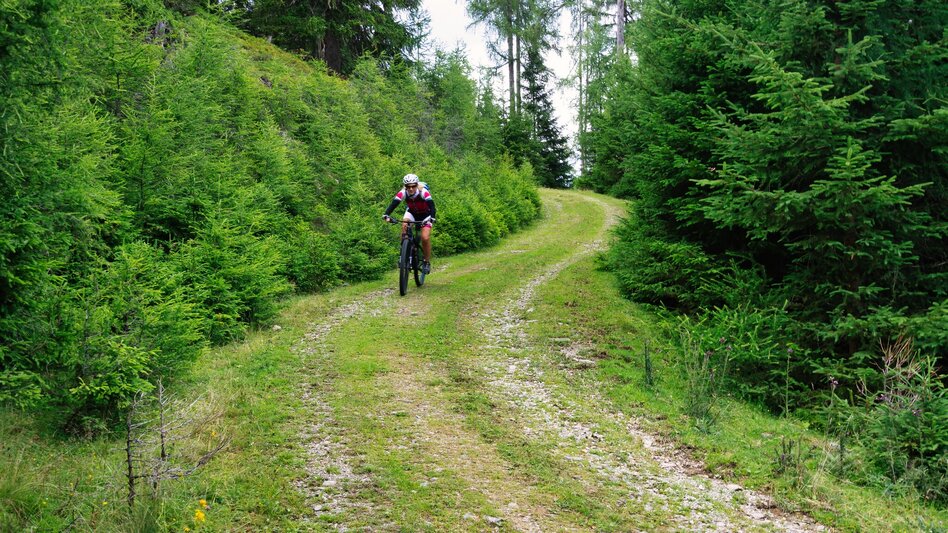 Mountain Biking Kaibling Tour | 309 - Touren-Impression #2.10