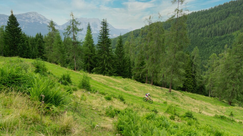 Mountain Biking Kaibling Tour | 309 - Touren-Impression #2.11