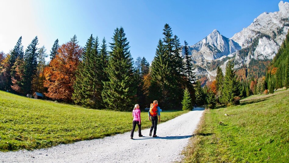 Hiking route Hike from Bodenbauer to Sackwiesensee - Touren-Impression #2.1 | © Steiermark Tourismus