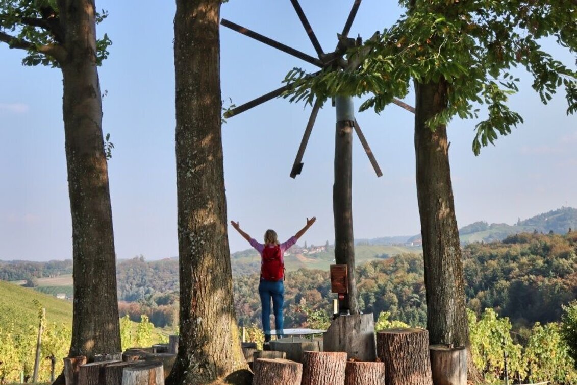 Hiking route Hiking Trail No. 4 Steinbach-Sernauberg-Gamlitzberg - Touren-Impression #1 | © TVB Südsteiermark/WEGES