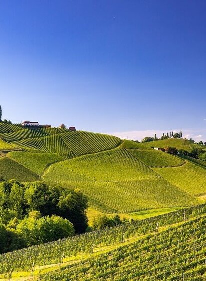 Landschaft Gamlitz | © TVB Südsteiermark/Harry Schiffer | Harry Schiffer | © TVB Südsteiermark/Harry Schiffer