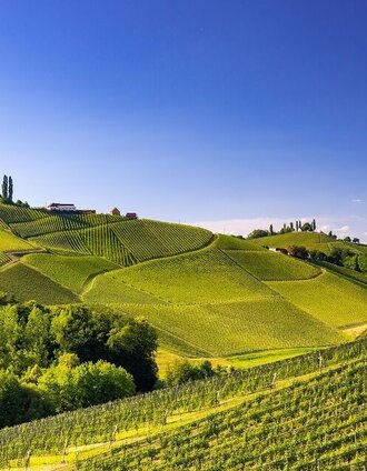 Landschaft Gamlitz | Harry Schiffer | © TVB Südsteiermark/Harry Schiffer
