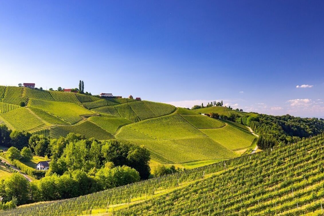 Hiking route Eckberg - Steinbach - Ratsch, path no. 6 - Touren-Impression #1 | © TV Südsteiermark/Harry Schiffer