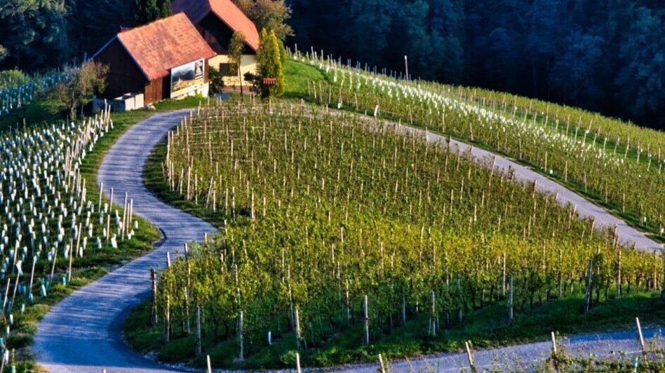 Wanderung Sulztaler Rundwanderweg Nr. 9  - Touren-Impression #2.1 | © TV Südsteiermark/WEGES