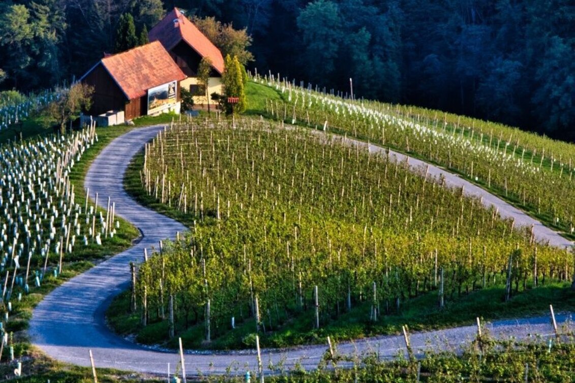 Wanderung Sulztaler Rundwanderweg Nr. 9  - Touren-Impression #1 | © TV Südsteiermark/WEGES