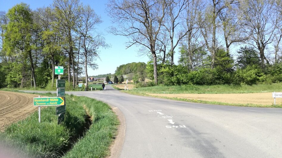 Bike Riding R45 Gleichenberg cycle path - Touren-Impression #2.2 | © Thermen- & Vulkanland