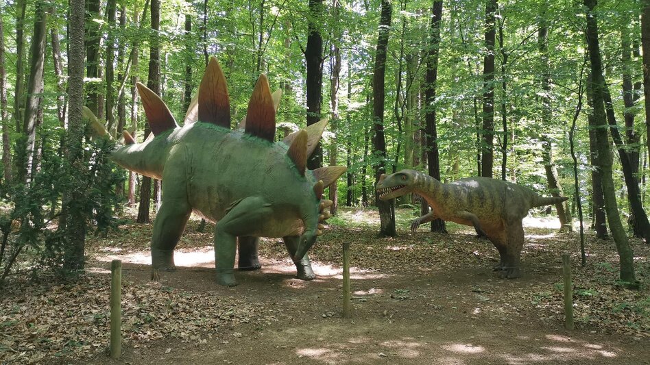 Bike Riding R45 Gleichenberg cycle path - Touren-Impression #2.11 | © Thermen- & Vulkanland