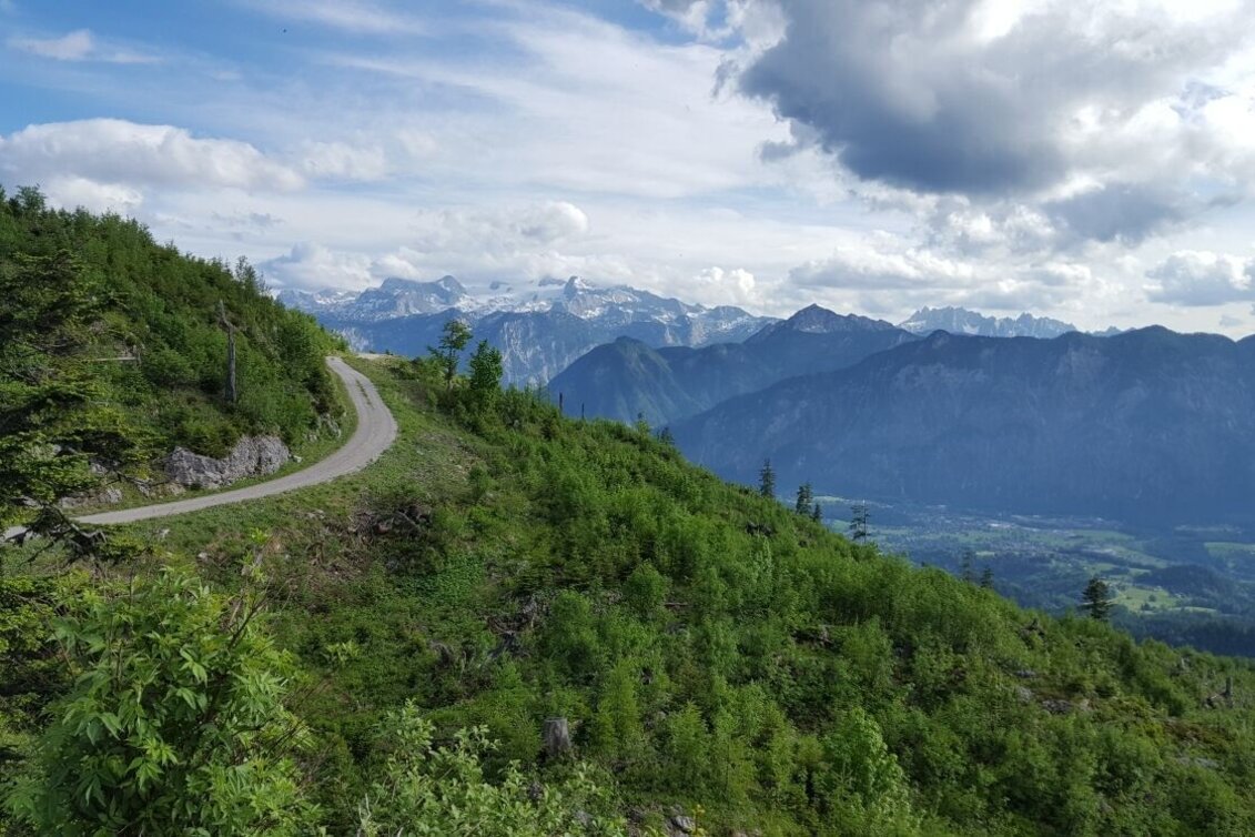 Mountain Biking S502 Raschberg round - Touren-Impression #1 | © Community
