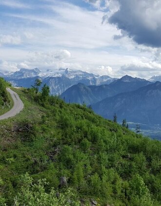 Mittwoch, 7. Juni 2017 3:10:37 nachm. | Thomas Hauser | © Community