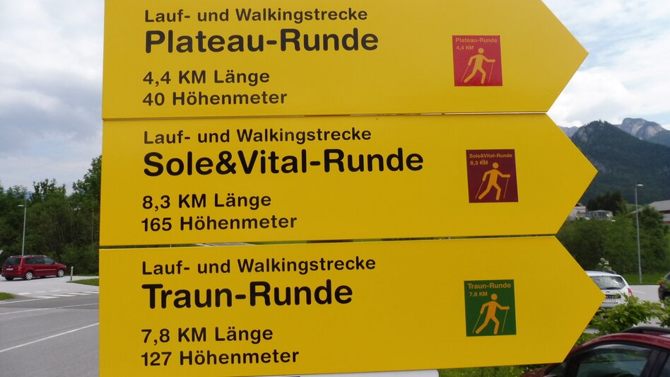 Nordic Walking Narzissen Bad Aussee - Plateau circuit - Touren-Impression #2.4 | © Ausseerland