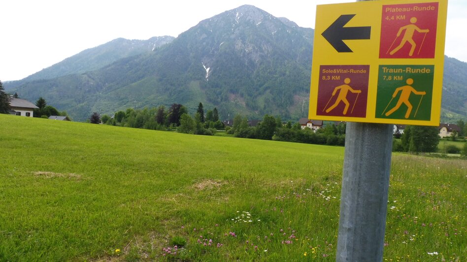 Nordic Walking Narzissen Bad Aussee - Plateau circuit - Touren-Impression #2.7 | © Ausseerland