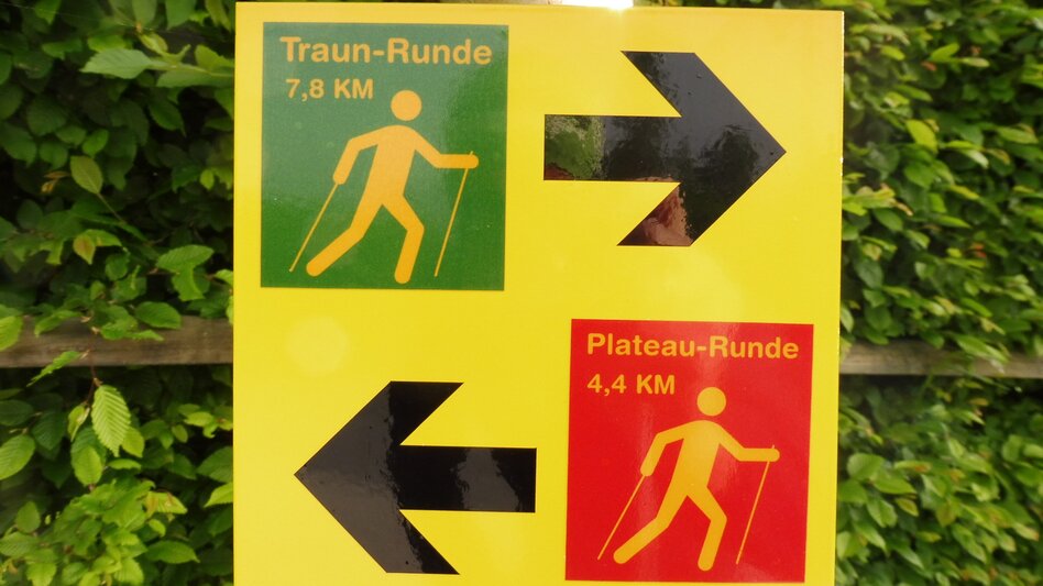 Nordic Walking Narzissen Bad Aussee - Plateau circuit - Touren-Impression #2.11 | © Ausseerland