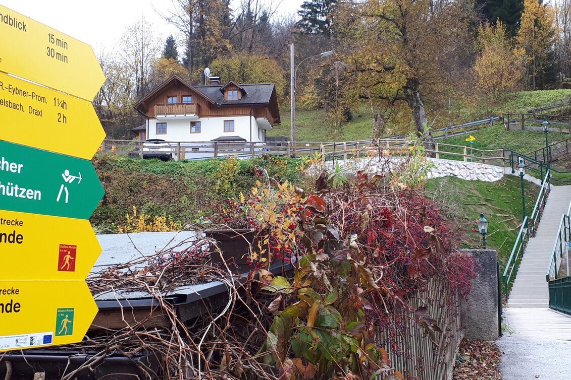 Nordic Walking Bad Aussee - Grundlsee - Gallhof - Hintenkogl - St. Leonhard - Touren-Impression #1 | © Ausseerland