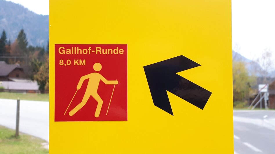 Nordic Walking Bad Aussee - Grundlsee - Gallhof - Hintenkogl - St. Leonhard - Touren-Impression #2.4 | © Ausseerland