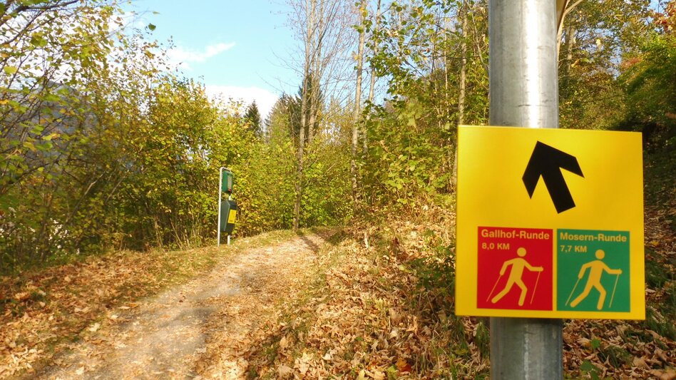 Nordic Walking Bad Aussee - Grundlsee - Gallhof - Hintenkogl - St. Leonhard - Touren-Impression #2.6 | © Ausseerland