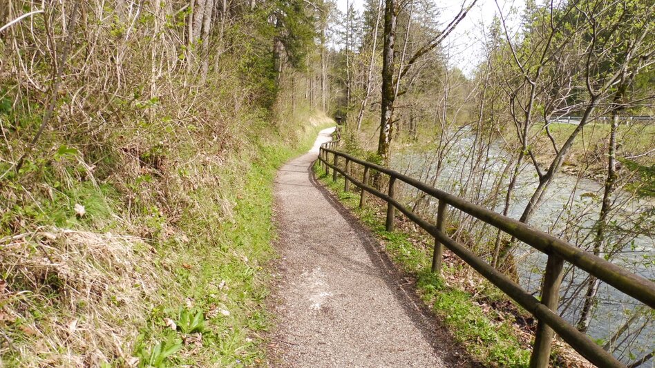 Nordic Walking Bad Aussee - Grundlsee - Gallhof - Hintenkogl - St. Leonhard - Touren-Impression #2.8 | © Ausseerland