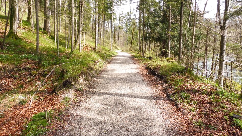 Nordic Walking Bad Aussee - Grundlsee - Gallhof - Hintenkogl - St. Leonhard - Touren-Impression #2.9 | © Ausseerland