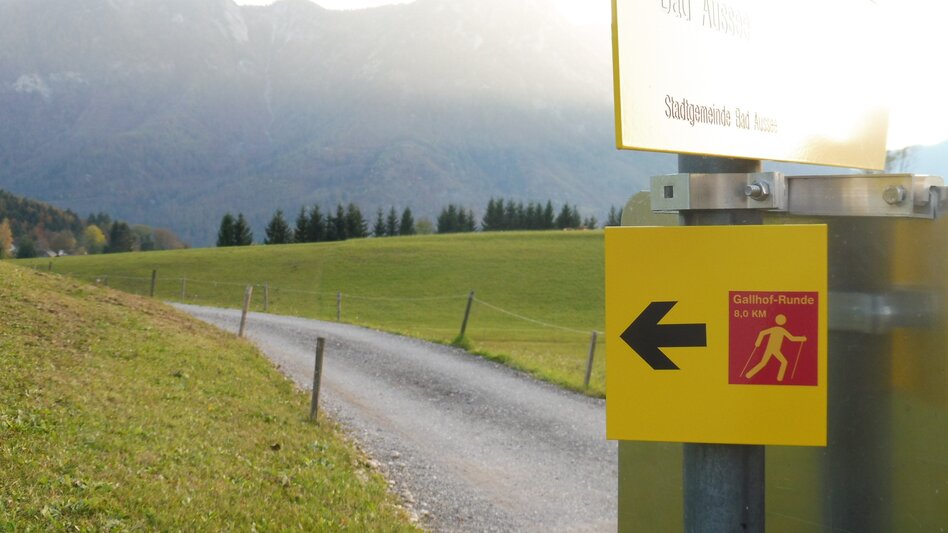 Nordic Walking Bad Aussee - Grundlsee - Gallhof - Hintenkogl - St. Leonhard - Touren-Impression #2.10 | © Ausseerland