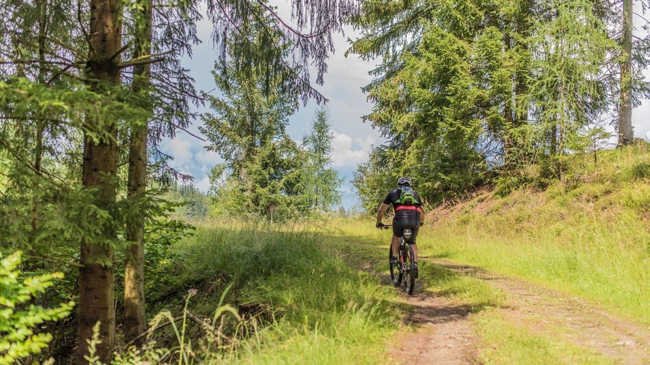 Mountain Biking Tour 67a - MTB - Roatmoaralm - Touren-Impression #2.1 | © Erlebnisregion Murtal
