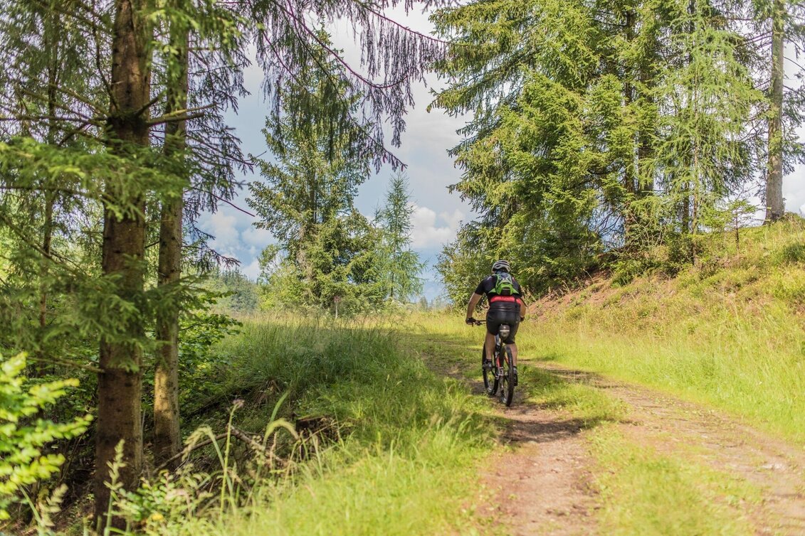 Mountain Biking Tour 67a - MTB - Roatmoaralm - Touren-Impression #1 | © Erlebnisregion Murtal