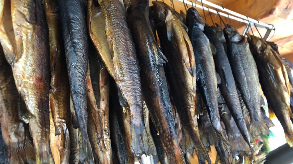 Mountainbike Tour 67j- MTB- Fischertour - Touren-Impression #2.3 | © Erlebnisregion Murtal