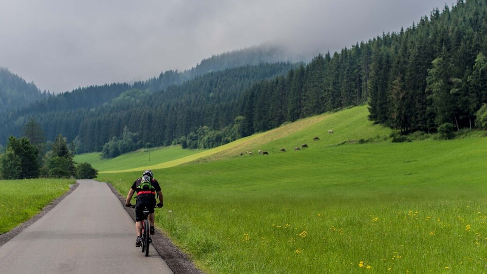 Mountain Biking Tour 67k - MTB  - Fötschach Tour - Touren-Impression #2.2 | © Erlebnisregion Murtal