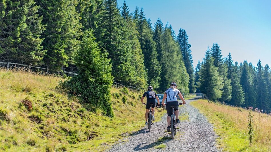 Mountain Biking MTB - Tour 67d - Steinplan starting from Gobernitz - Touren-Impression #2.3 | © Erlebnisregion Murtal