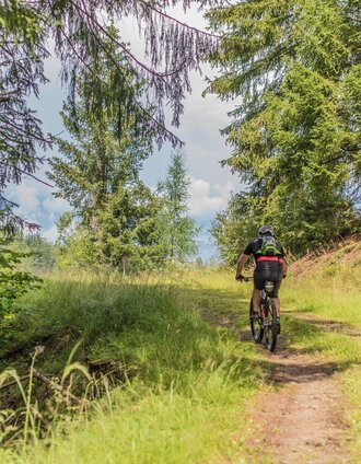 Mountainbike auf die Möschbauertour | Anita Fössl | © Erlebnisregion Murtal