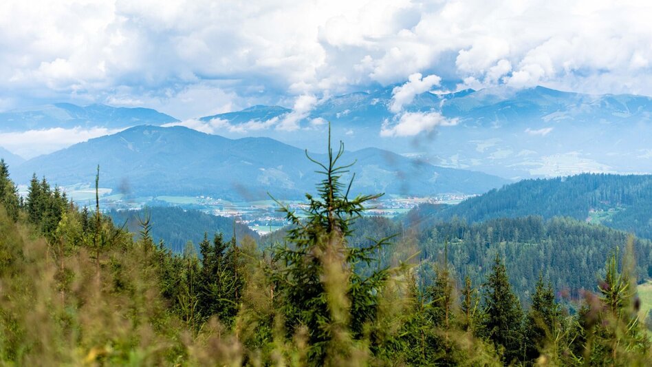 Mountain Biking Tour 67c- MTB- Möschbauertour - Touren-Impression #2.2 | © Erlebnisregion Murtal