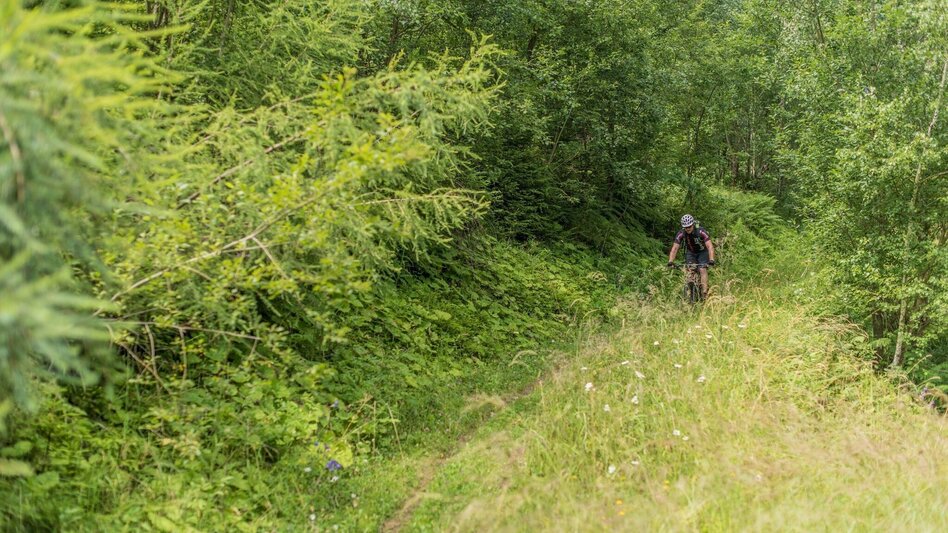 Mountain Biking Tour 67c- MTB- Möschbauertour - Touren-Impression #2.3 | © Erlebnisregion Murtal