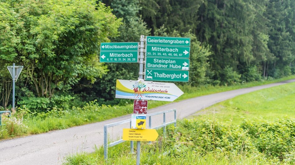Mountain Biking Tour 67c- MTB- Möschbauertour - Touren-Impression #2.4 | © Erlebnisregion Murtal