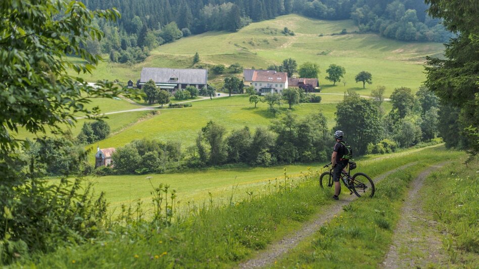 Mountain Biking Tour 67c- MTB- Möschbauertour - Touren-Impression #2.7 | © Erlebnisregion Murtal