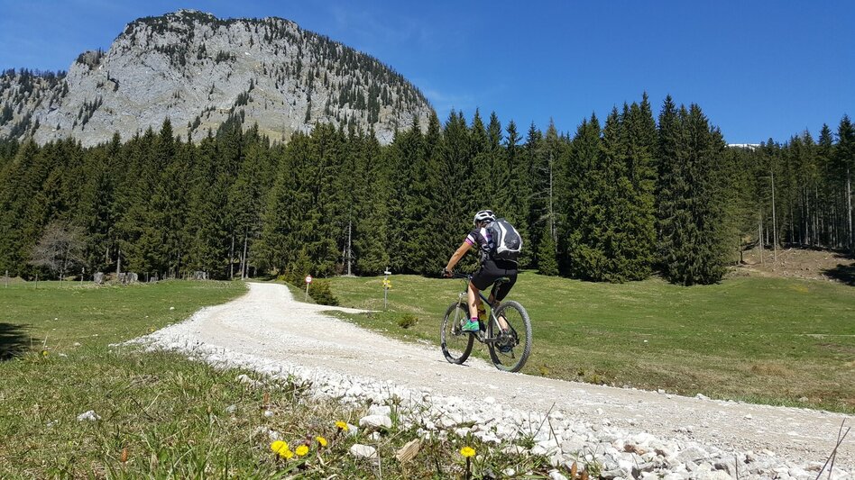 Mountain Biking Schönmoos Tour - Closure due to a large slope movement - Touren-Impression #2.1 | © Erlebnisregion Schladming-Dachstein