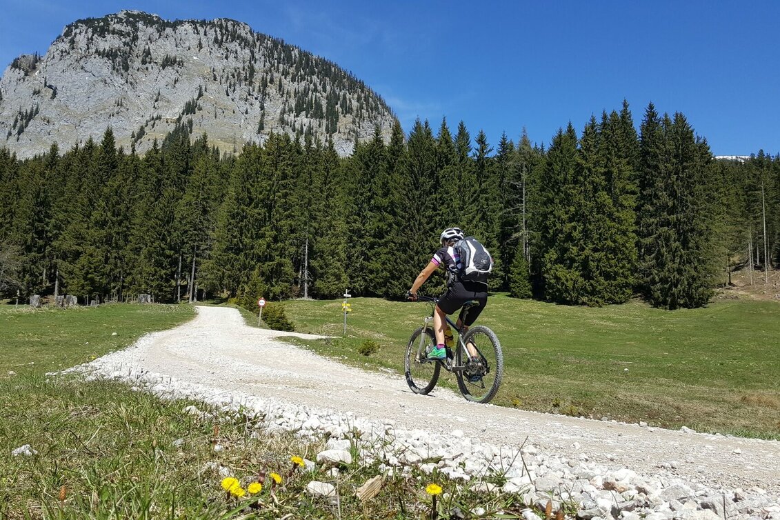 Mountain Biking Schönmoos Tour - Closure due to a large slope movement - Touren-Impression #1 | © Erlebnisregion Schladming-Dachstein