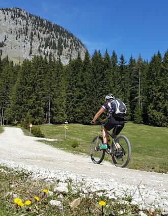 Almenlandschaft Schönmoos | Schladming Dachstein | © Erlebnisregion Schladming-Dachstein