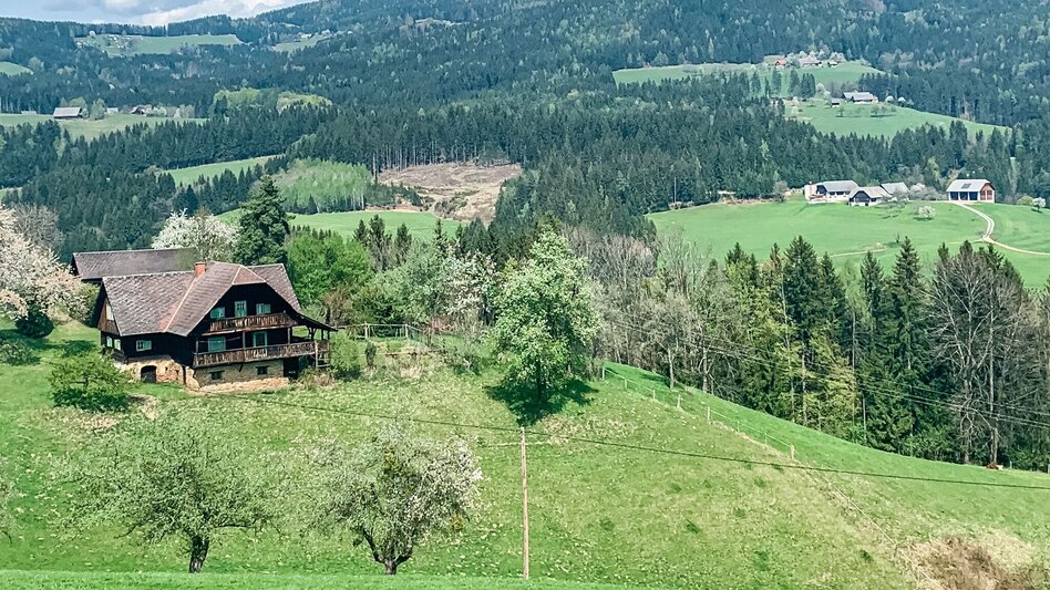 Hiking route Koralpenlaufweg - Touren-Impression #2.1 | © Südsteiermark