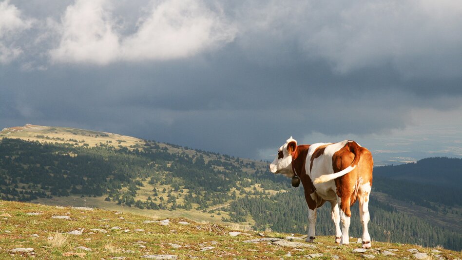 Fernwanderweg alpannonia-Weitwanderweg: Fischbach -Kőszeg, Fischbach - Touren-Impression #2.7 | © Walter Laschober