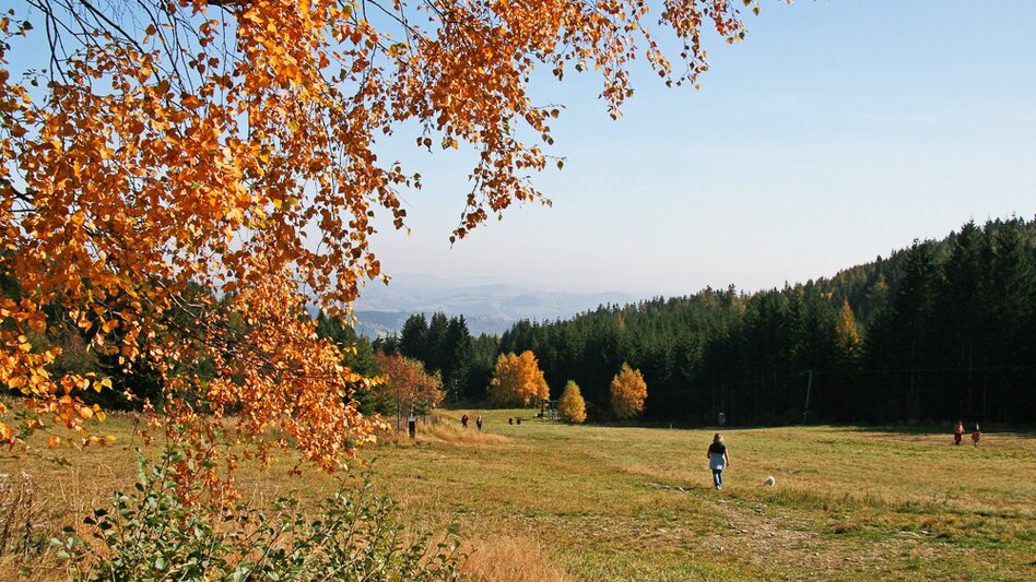Fernwanderweg alpannonia-Weitwanderweg: Fischbach -Kőszeg, Fischbach - Touren-Impression #2.8 | © Walter Laschober