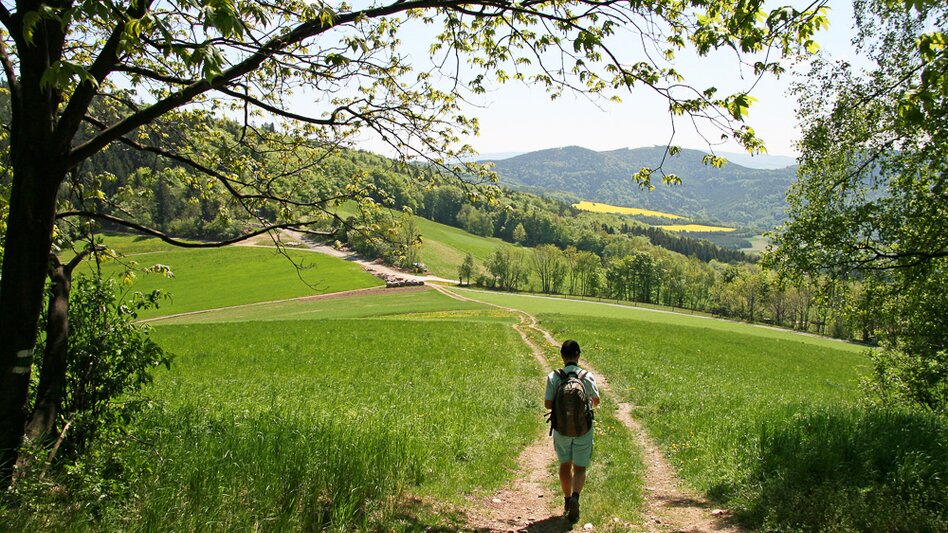 Fernwanderweg alpannonia-Weitwanderweg: Fischbach -Kőszeg, Fischbach - Touren-Impression #2.9 | © Walter Laschober