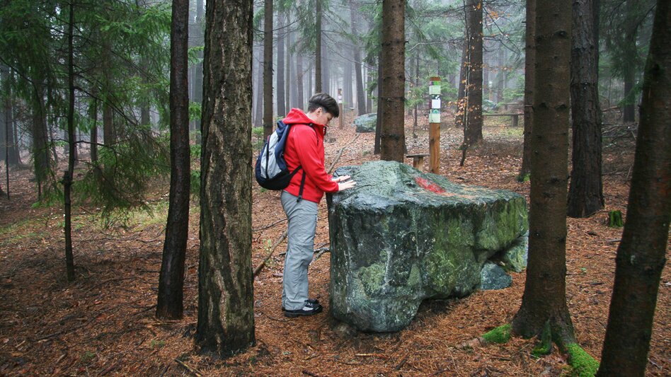 Fernwanderweg alpannonia-Weitwanderweg: Fischbach -Kőszeg, Fischbach - Touren-Impression #2.11 | © Walter Laschober