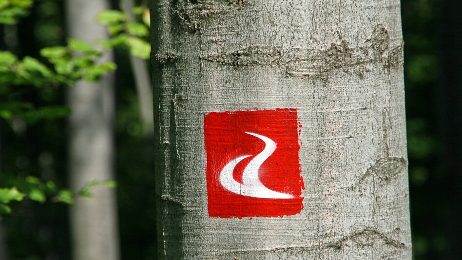 Fernwanderweg alpannonia-Weitwanderweg: Fischbach -Kőszeg, Fischbach - Touren-Impression #2.15 | © Walter Laschober