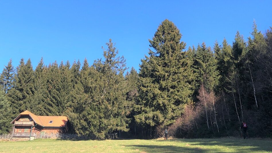 Hiking route Hike up the Masenberg, RETTER Pöllauberg - Touren-Impression #2.4 | © Oststeiermark Tourismus