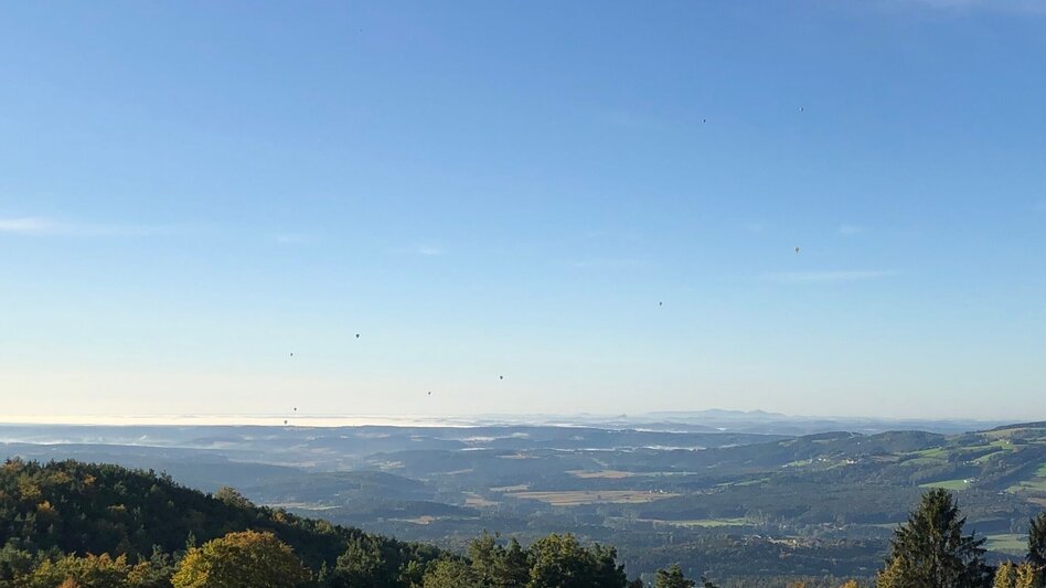 Hiking route Hike up the Masenberg, RETTER Pöllauberg - Touren-Impression #2.6 | © Oststeiermark Tourismus
