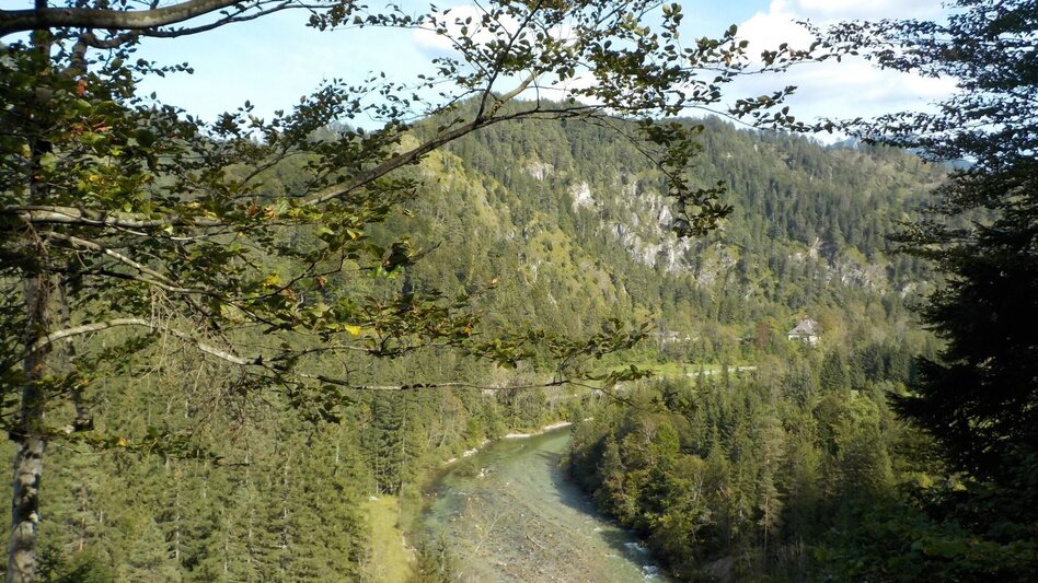 Wanderung Wildalpen - Burgstallort - Touren-Impression #2.1 | © Tourismusverband Wildalpen