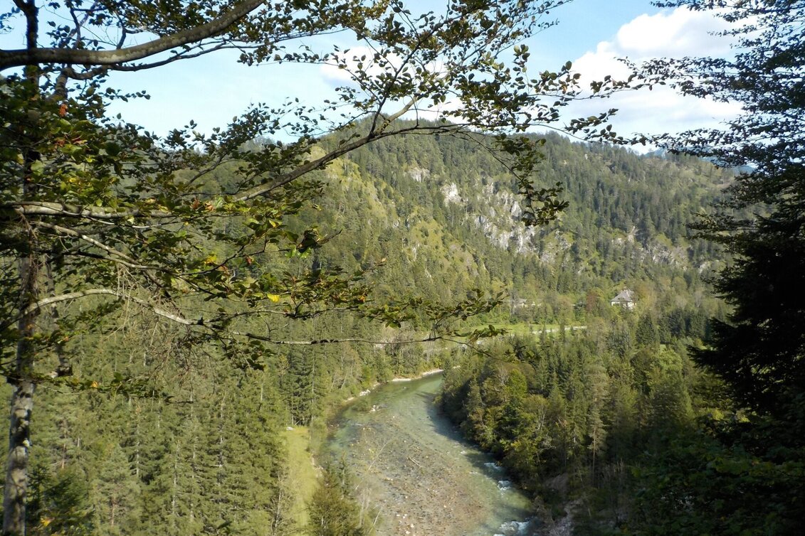 Wanderung Wildalpen - Burgstallort - Touren-Impression #1 | © Tourismusverband Wildalpen