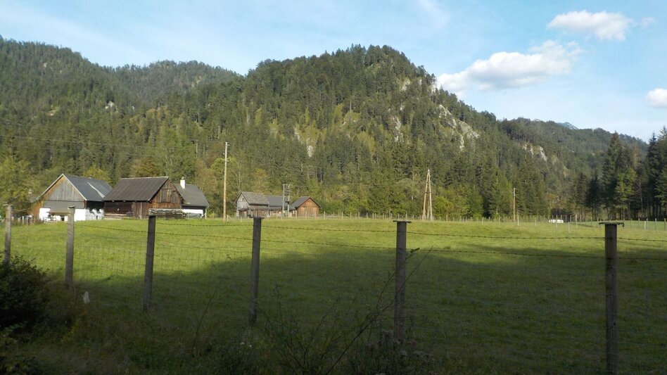 Wanderung Wildalpen - Burgstallort - Touren-Impression #2.3 | © Tourismusverband Wildalpen